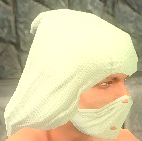 File:Beige leather.png