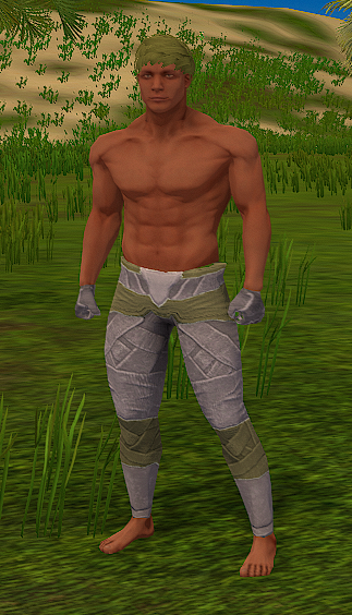 File:The Wombat.png