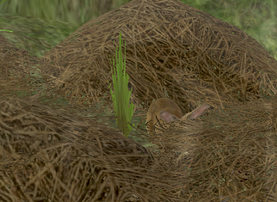 File:Cinnamon(npc).png
