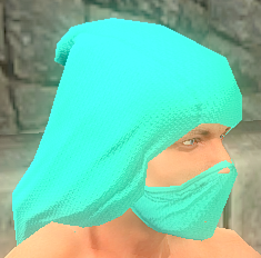 File:Turquoise leather.png