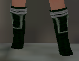 File:Windstep shoes front Q3.png