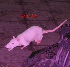 File:Necro Rat.jpg