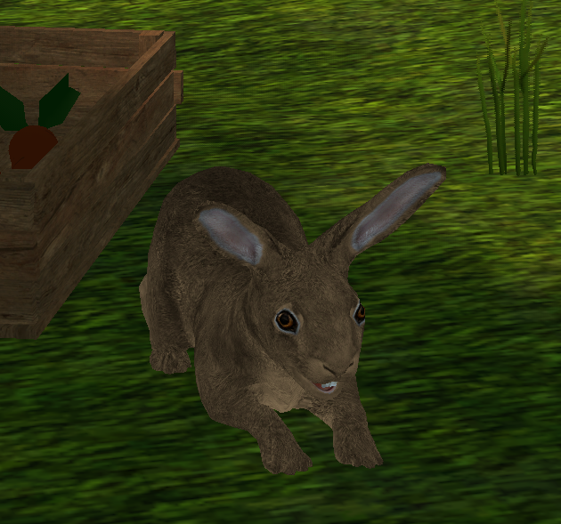 File:Cinnamon(npc)(revision 1).png