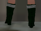 File:Windstep shoes back Q3.png