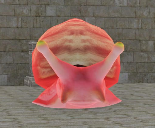 File:Invincisnail.png