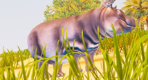 File:Hippo.png