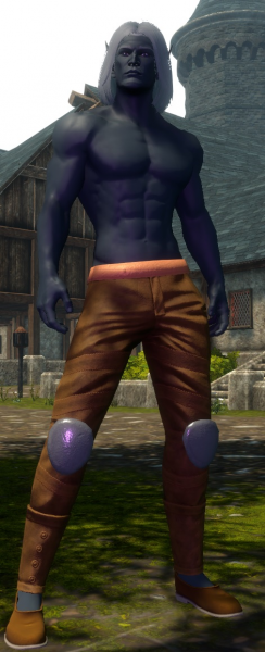 File:Velkort(npc).png