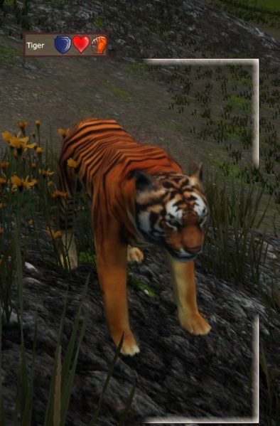 File:Tiger.jpg