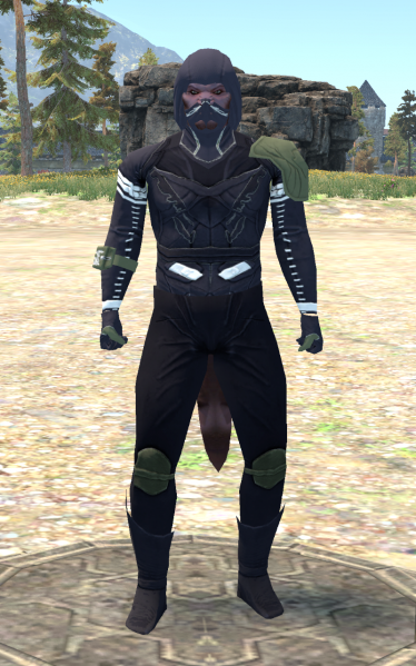 File:Crafted Camo Cloth.png