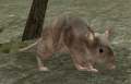 Thumbnail for version as of 12:59, 25 January 2020