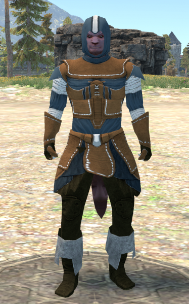 File:Crafted Cloth Nimble.png