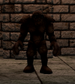 Thumbnail for version as of 21:22, 31 January 2020