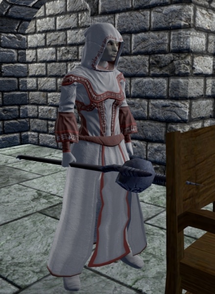 File:Elementalist Trainee.jpg