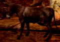 Thumbnail for version as of 19:47, 27 October 2019