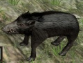 Thumbnail for version as of 19:17, 28 March 2016
