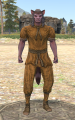 Thumbnail for version as of 12:12, 22 January 2024