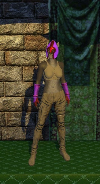 File:Leather Armor (level 10).jpg