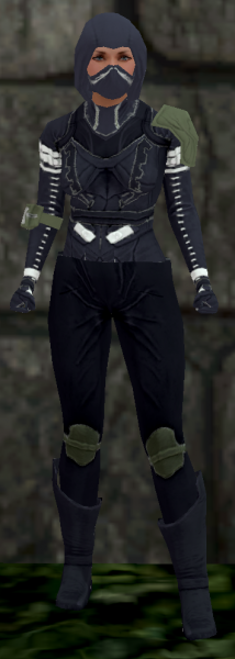 File:Amazing leather female front Q3.png