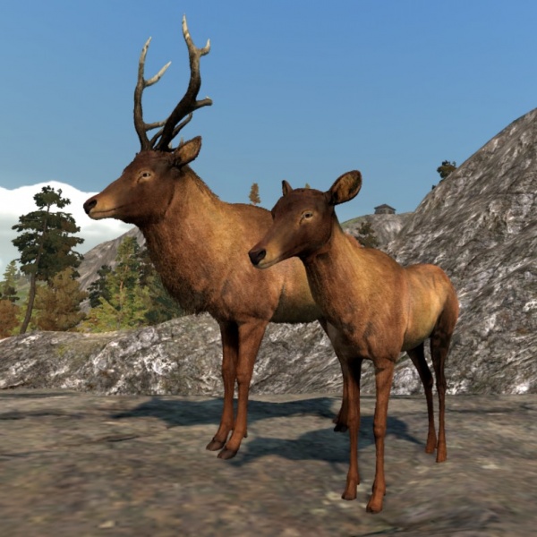 File:Deer form.jpg