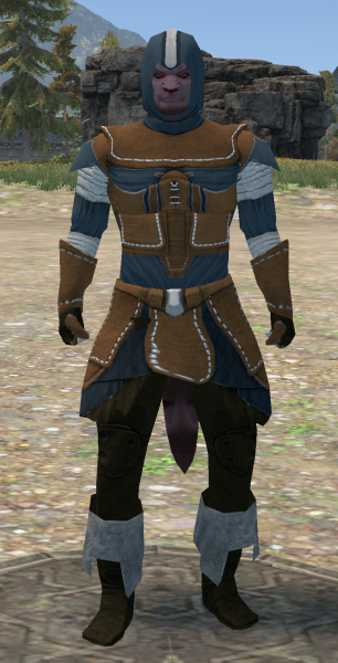 File:Armor Set Archer.png