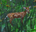 Thumbnail for version as of 05:40, 14 March 2026