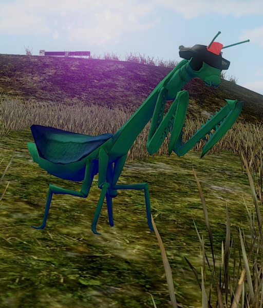 File:Augmented Mantis Slave.jpg