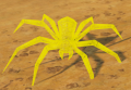 Thumbnail for version as of 14:24, 4 November 2022