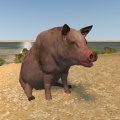 Thumbnail for version as of 18:16, 1 March 2025