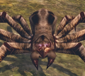Thumbnail for version as of 06:29, 3 October 2014