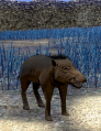 Thumbnail for version as of 00:40, 22 February 2021