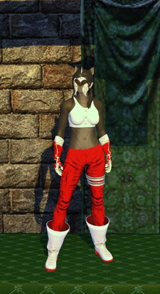 File:Cloth Armor (level 20).jpg
