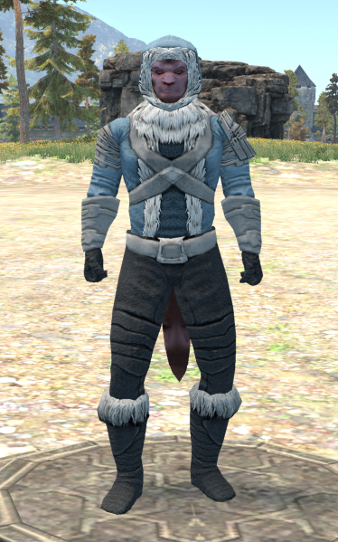 File:Crafted Leather Winter.png