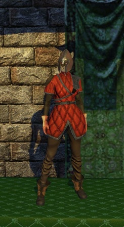 Winter Armor Set