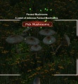 Thumbnail for version as of 01:07, 24 September 2017