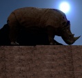 Thumbnail for version as of 23:11, 5 May 2015