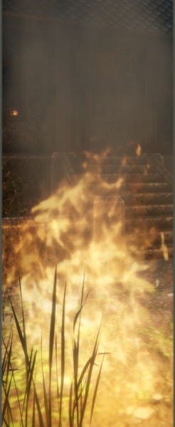 File:Sentient Flame (NPC).jpg