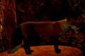 Thumbnail for version as of 19:38, 27 October 2019